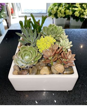 Zen Garden Flower Arrangement