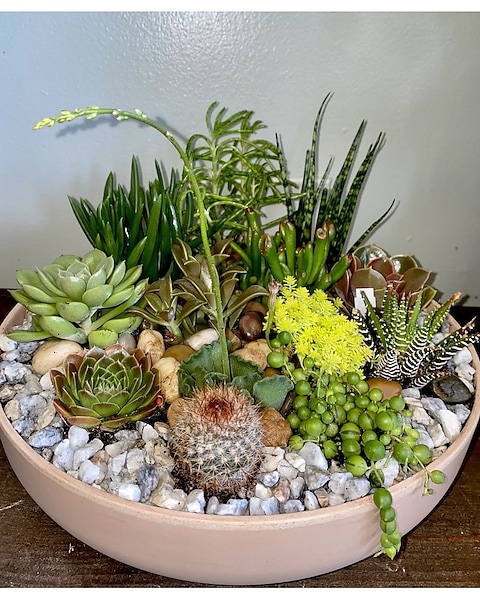 large clay plant pots Lapo Terra Cotta Planter