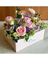 Pastel Colours size,  inches height and  inches wide.