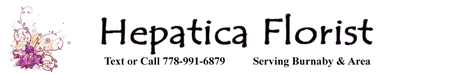 Hepatica Florist - Logo