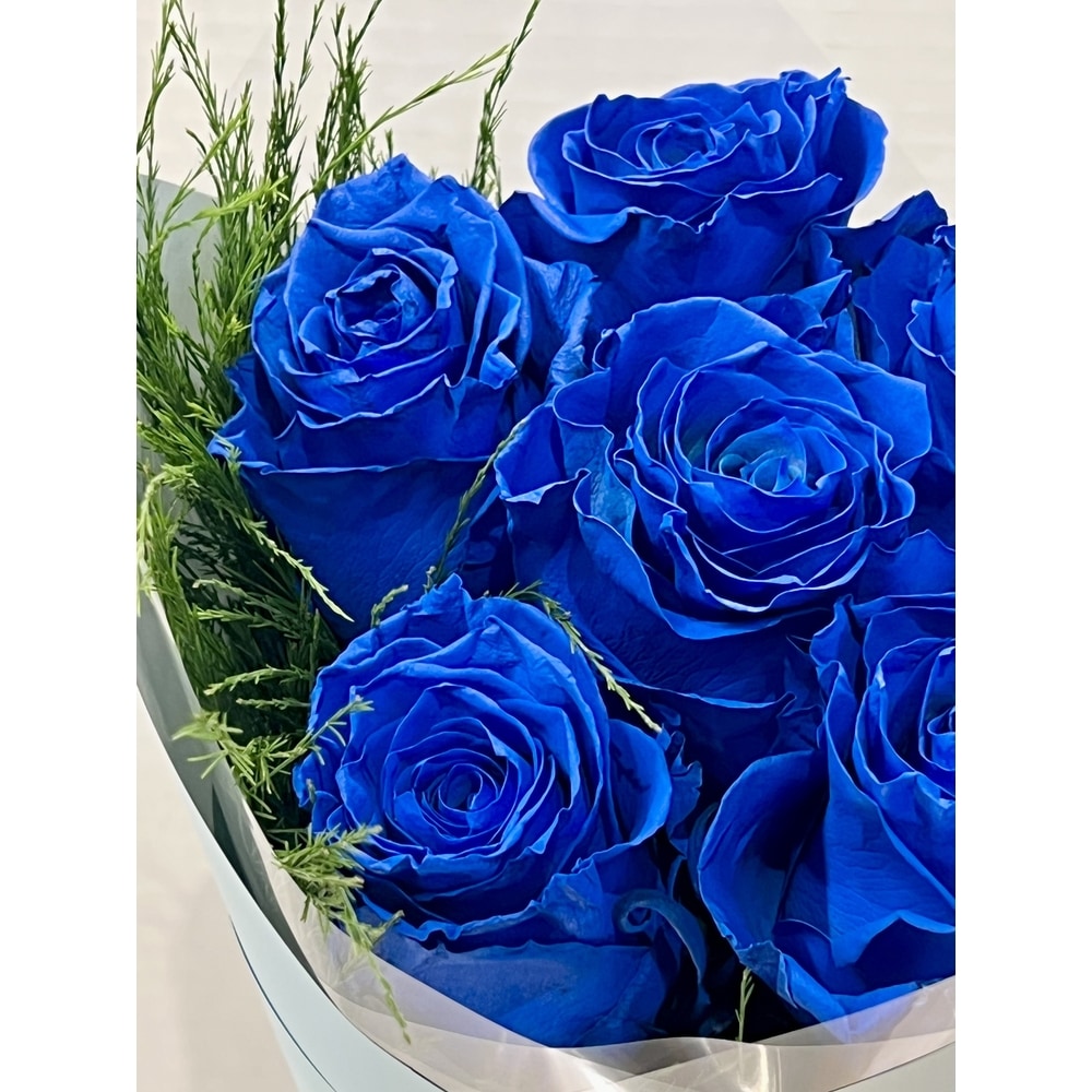 6 Blue Roses Hand Tie Bouquet in Burnaby BC - Hepatica Florist