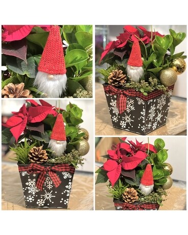 Christmas Planter A Flower Arrangement