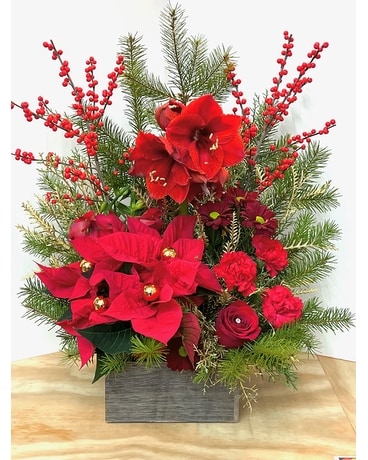 Christmas Collection C Flower Arrangement