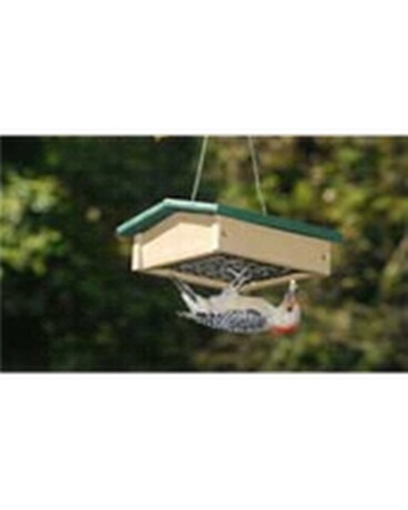 Bird Gifts
