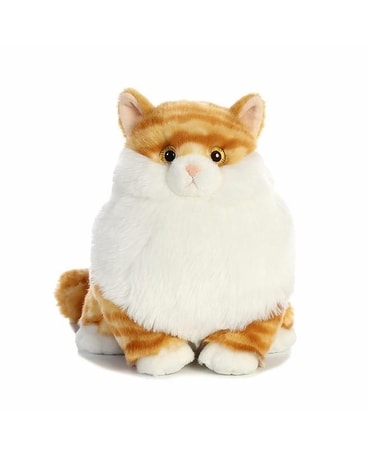 Dave the Cat Gifts