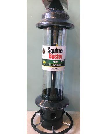 Squirrel Buster Plus Gifts