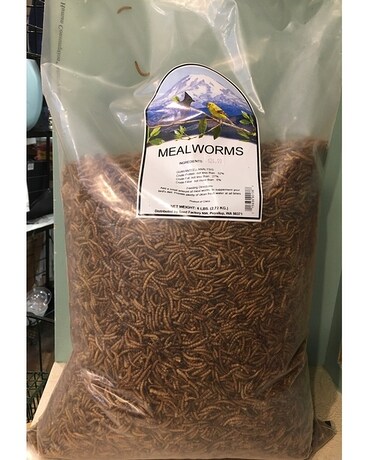 Mealworms Gifts