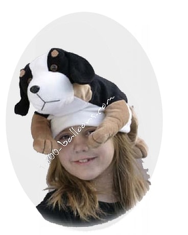 baseball cap dog house