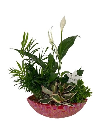 Christmas Shimmering Red Planter Plant