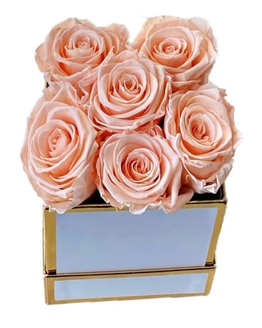 Preserved Roses in  Gift Box Gifts