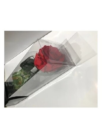 Single Preserved Rose Flowers