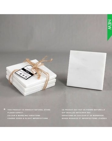 COASTER Gifts