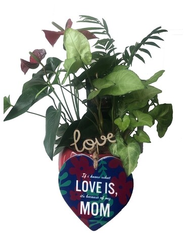 Tropical Mix Round - Mother's Day Special Gifts