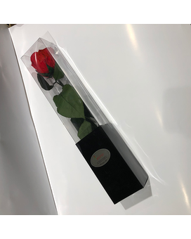 Single Preserved Rose Flowers
