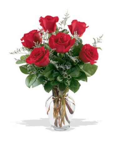 6 RED ROSES IN VASE Flower Arrangement