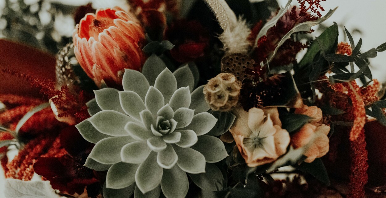 Boulder Florist Flower Delivery by Boulder Blooms