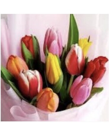 Tulip Special by Lovebird Flowers Flower Arrangement