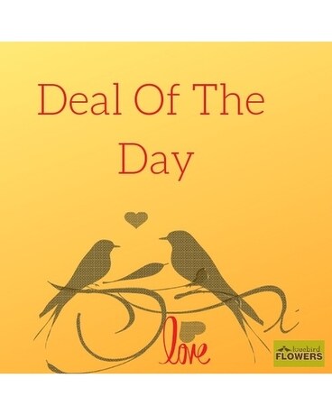 Deal of The Day by Lovebird Flowers Flower Arrangement