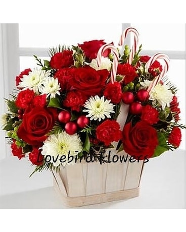 Elves & Evergreen by Lovebird Flowers Flower Arrangement