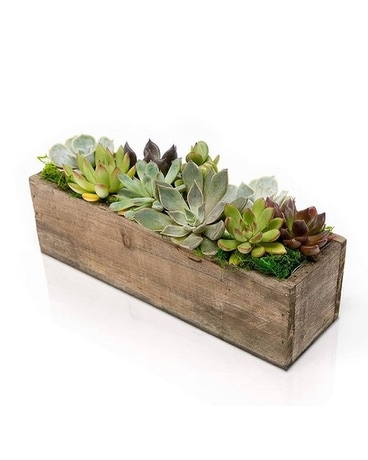 Zen for You at Home  by Lovebird Flowers Flower Arrangement