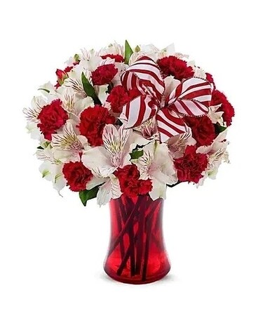 Candy Cane Magic by Lovebird Flowers Flower Arrangement
