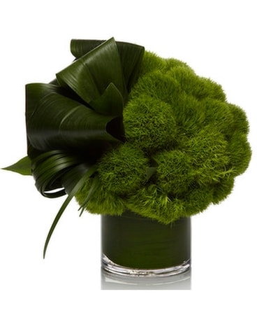 Green Enchantment By House of Flowers Flower Arrangement