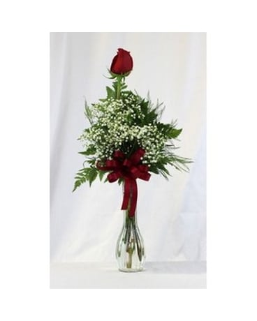 Single Rose Budvase Flower Arrangement