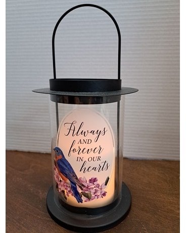 Carson Small lantern Gifts