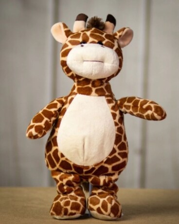 AEPhi Giraffe Flower Arrangement