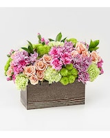 Deluxe size,  inches height and  inches wide.