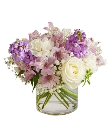 Lovely Lavender in Chantilly VA - Chantilly Flowers