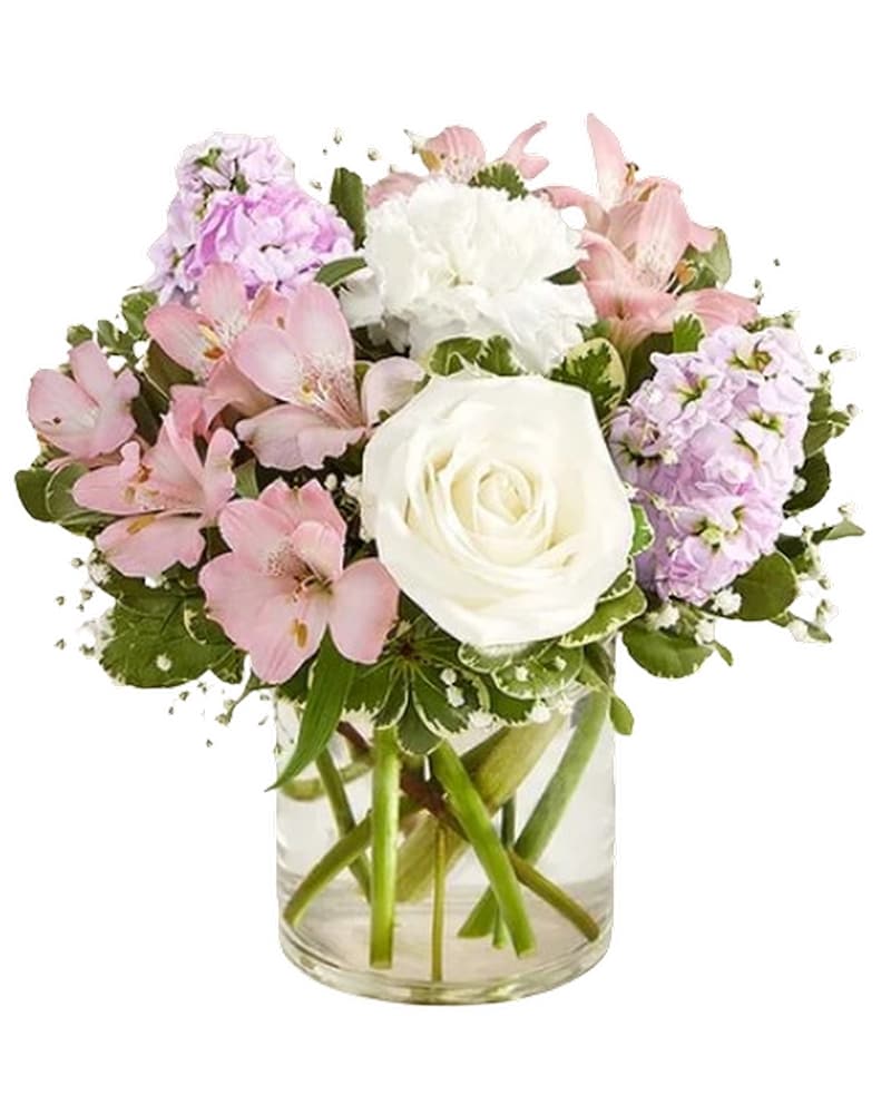 Elegant Blush in Chantilly VA - Chantilly Flowers