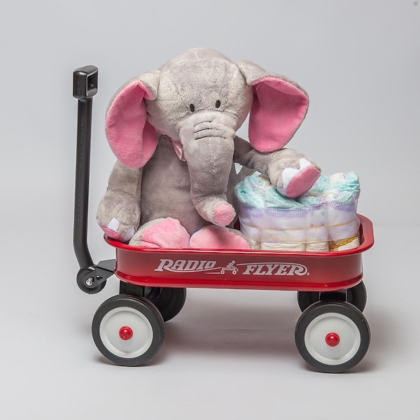 Welcome Wagon Girl in St Clair Shores MI Rodnick