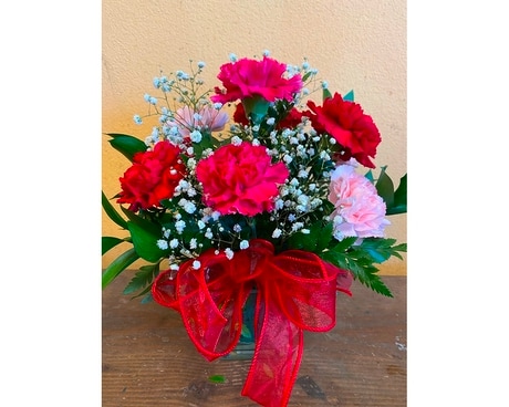 CARNATIONS IN A CUBE Flower Arrangement