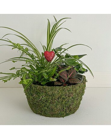 Heart-y Mossy Planter Flowers