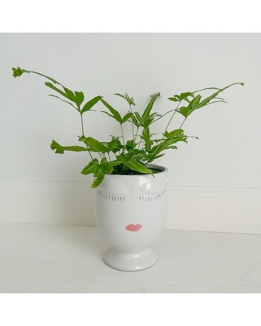 Mayi Fern Flowers