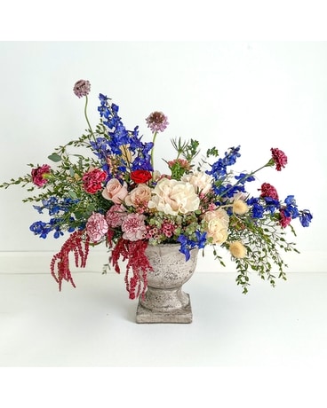 New Dawn Flowers