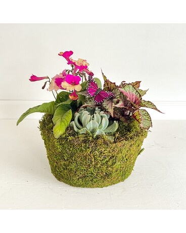 Lady Slipper Planter Flowers