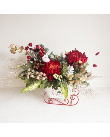 Sleigh All Day - Dried Arrangement Flowers