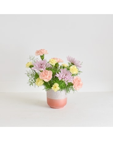 Pastel Collection - Delicate & Dainty Flowers
