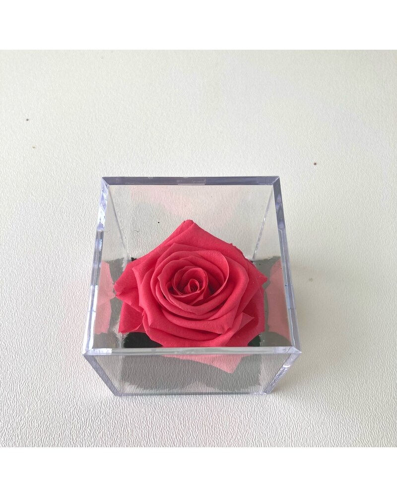 sku10090080.jpg?1666462067346