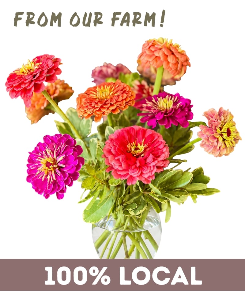 Get Well Flowers in Garner, NC | Forest Hills Florist