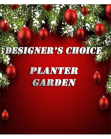Designer's Choice Planter Garden Plant