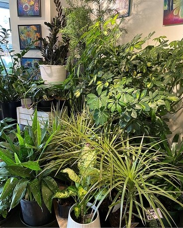5th St Florist Flower Arrangement