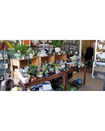Our Store #2 Custom product