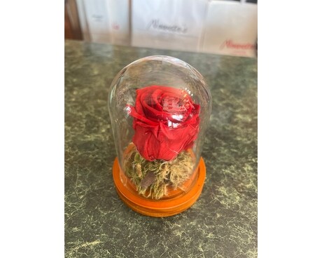 Red Forever Preserved Rose Flower Arrangement