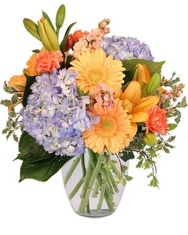 FILLED WITH DELIGHT VASE ARRANGEMENT Flower Arrangement