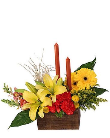 DELUXE size,  inches height and  inches wide.