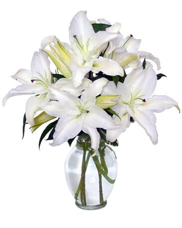 Casa Blanca Lilies Arrangement Flower Arrangement
