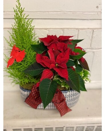 Holiday Living Planter Flower Arrangement